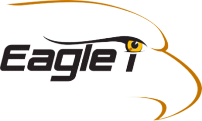 Eagle i Machinery Logo